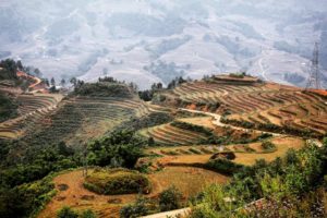 Vietnam - Simone Piccini