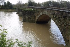 Silvia Chiassai su Ponte Buriano: “mi auguro che il nuovo Governo non metta in discussione gli accordi raggiunti"