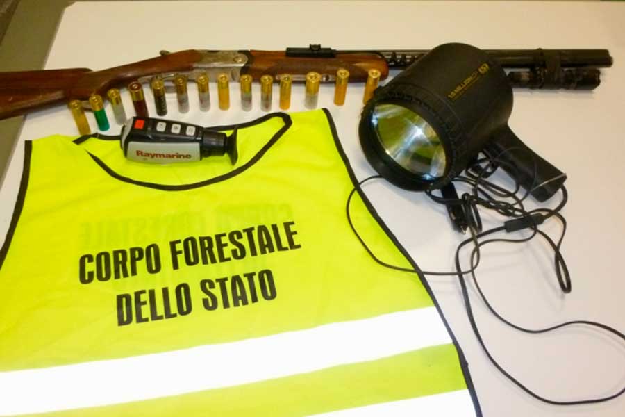 Bracconaggio notturno nelle zone tra Arezzo e Siena: denunciate due persone