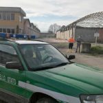 fungaia_sansepolcro_3