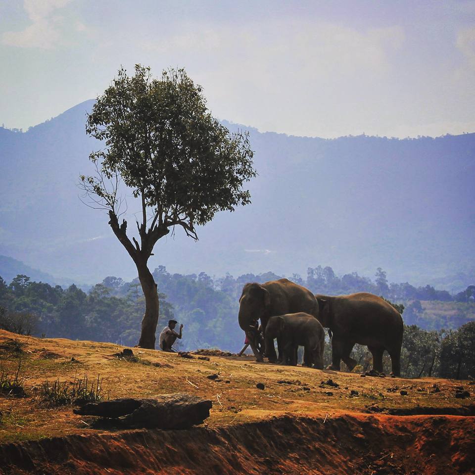 Simone Piccini - Chiang Mai