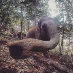 Simone Piccini – Chiang Mai