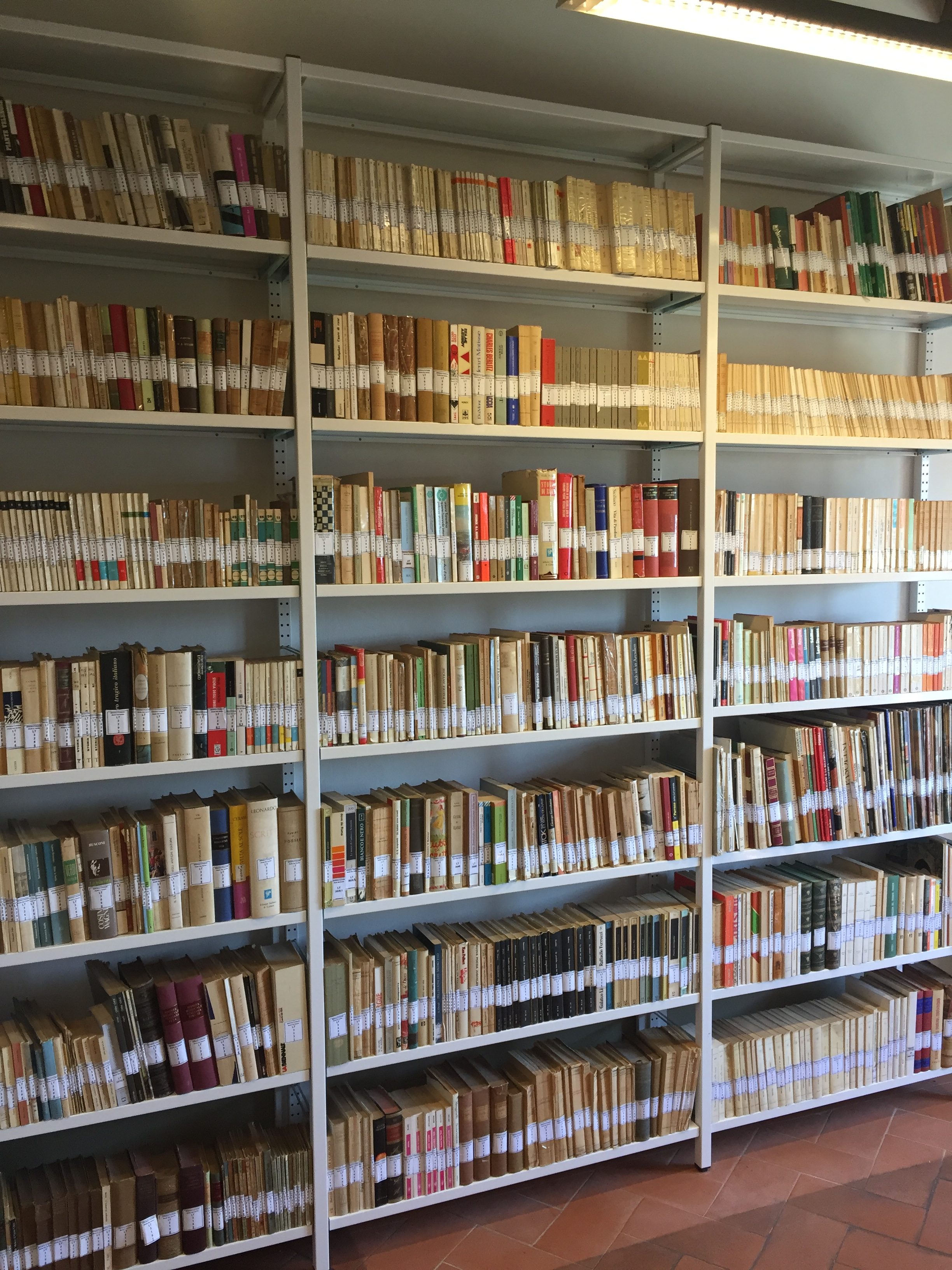 Cavriglia: una biblioteca sempre più “VIVA”