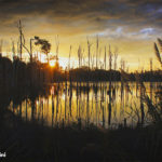 simone_piccini_113