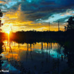simone_piccini_114