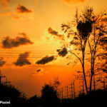 simone_piccini_131