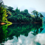 simone_piccini_144
