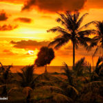 simone_piccini_146