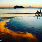 simone_piccini_162