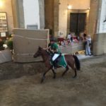 IMG_1664