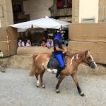 Giostra prove scortecci