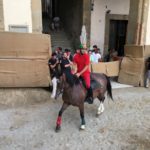 Giostra prove vanneschi
