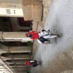 Giostra prove crucifera