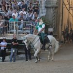 settembre sant andrea 2