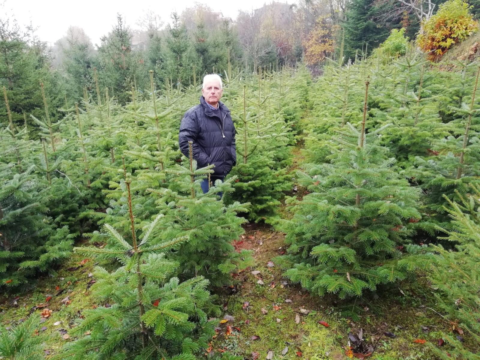 Coldiretti: gli eroi della montagna che producono alberi di natale
