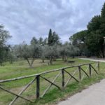 img_0477-1