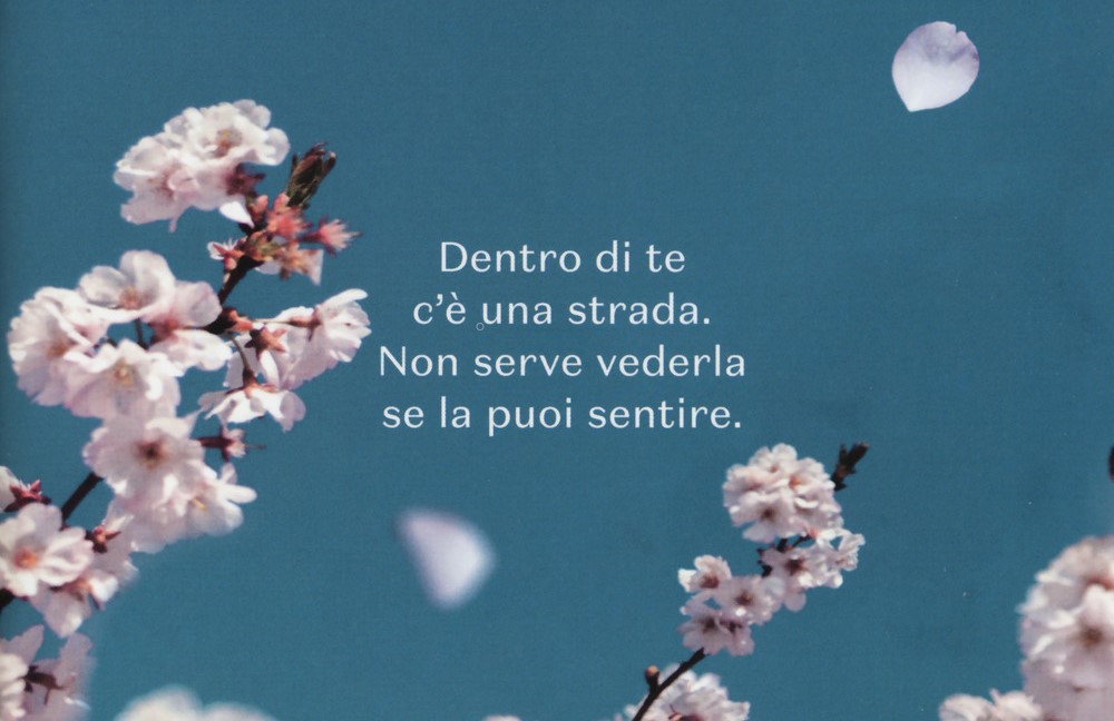 “La distanza tra me e il ciliegio” un romanzo di Paola Peretti