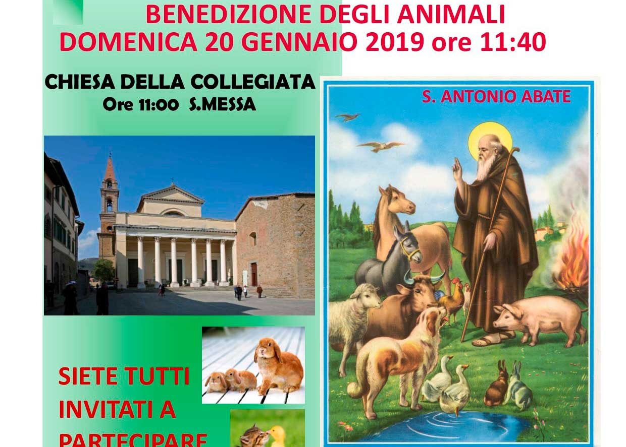Benedizione degli animali: domenica 20 gennaio al Chiesa della Collegiata.
