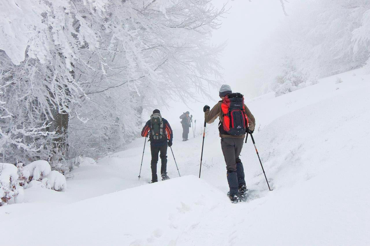 Arriva il giorno della grande marcia nel Parco nazionale