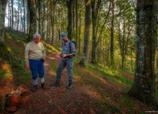 Carabinieri durante un controllo funghi nei sentieri del Parco nazionale Foreste casentinesi