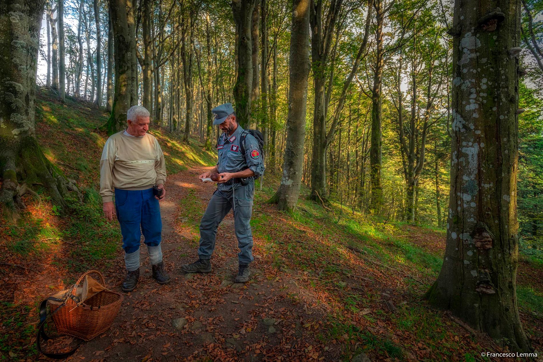 Firmato il piano operativo annuale tra il Parco nazionale Foreste casentinesi, monte Falterona e Campigna ed i Carabinieri forestali