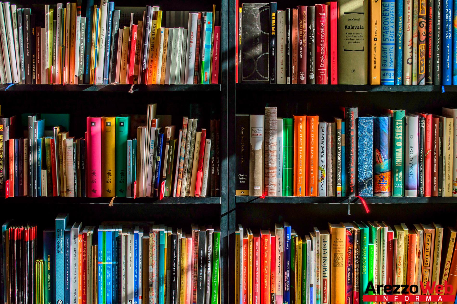 Castiglion Fiorentino: da domani è possibile usufruire del servizio a domicilio per avere un libro della Biblioteca