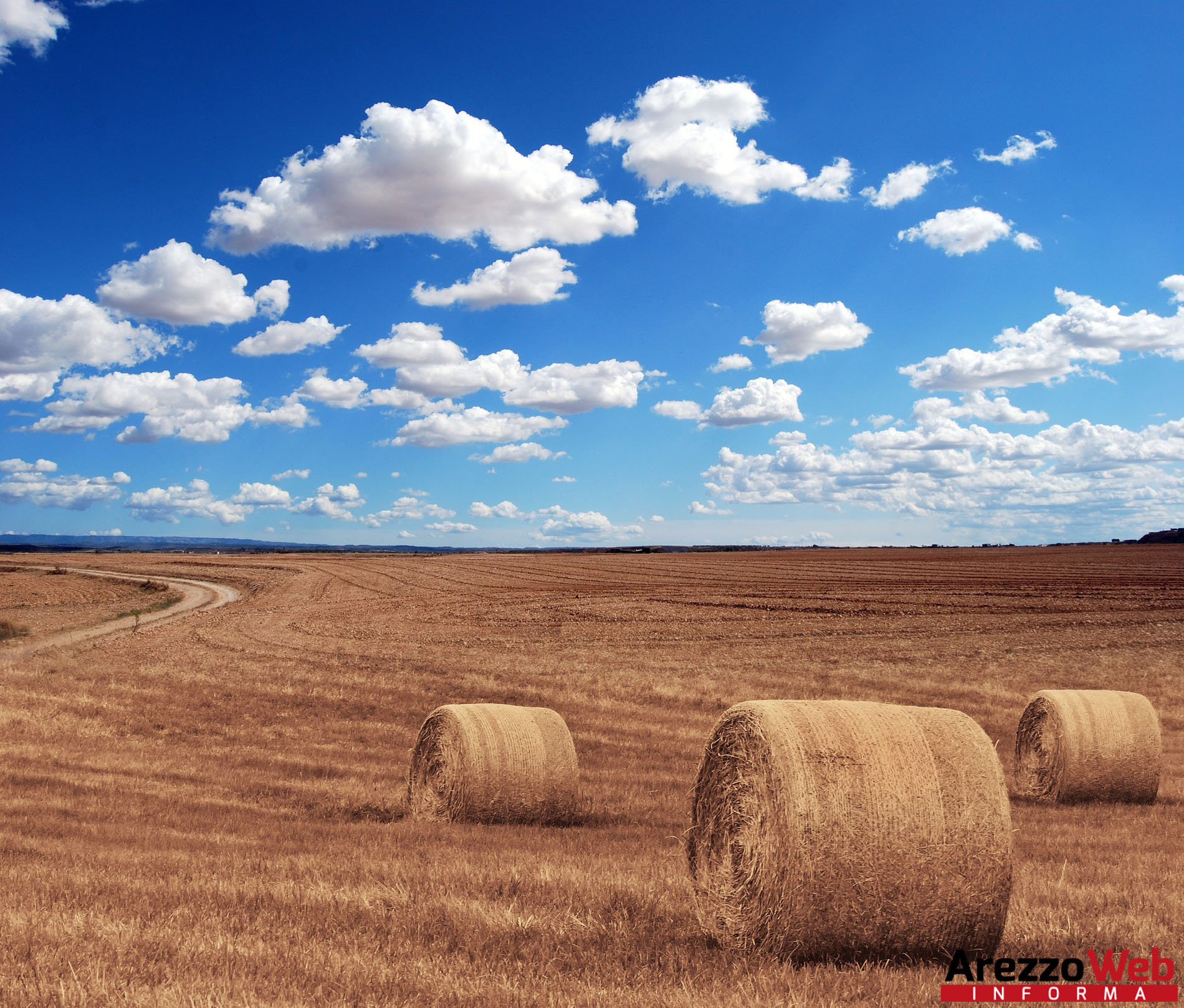 CB2, Giornata mondiale per la lotta alla desertificazione e alla siccità. Distretto 23: una sfida da vincere per l’agricoltura e l’ambiente