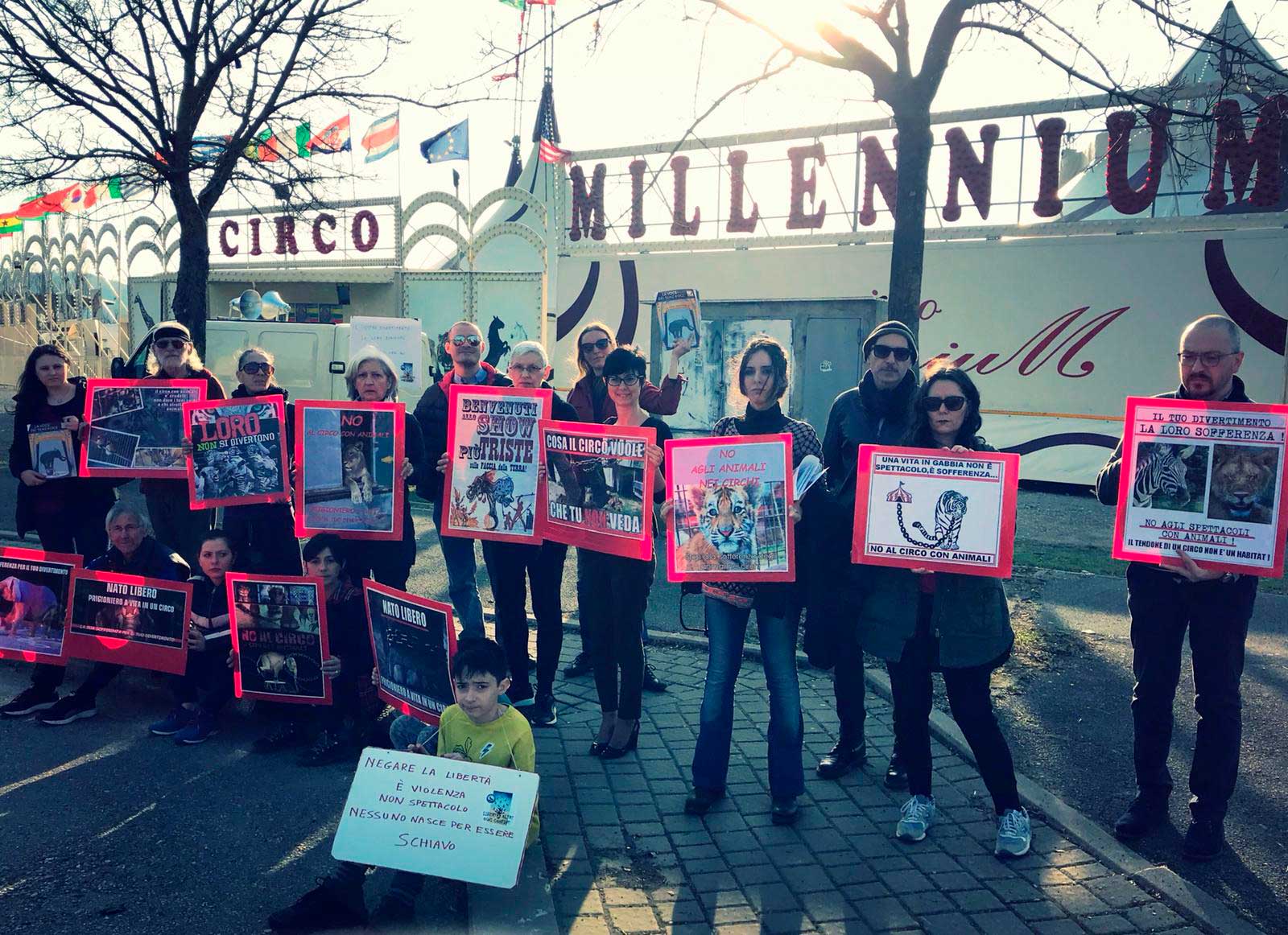 Denunce e sanzioni al circo di Arezzo