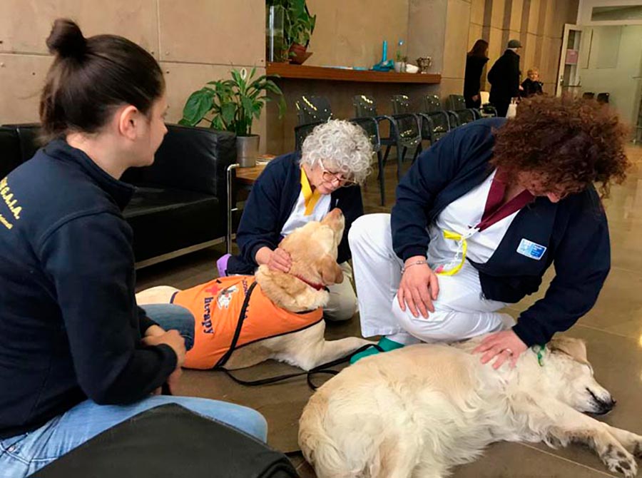 La Pet Therapy a sostegno dei pazienti oncologici del Valdarno