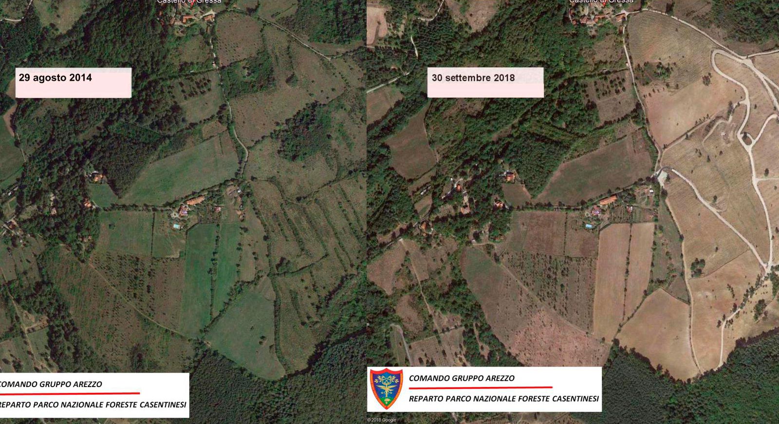 14 ettari di tagli boschivi abusivi a Bibbiena, sequestro preventivo dei Carabinieri Forestali