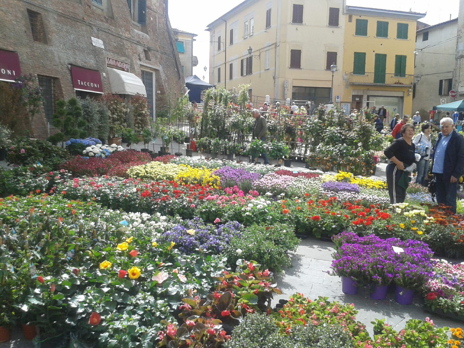 Fiera del fiore a Foiano della Chiana, sabato 13 e domenica 14 aprile