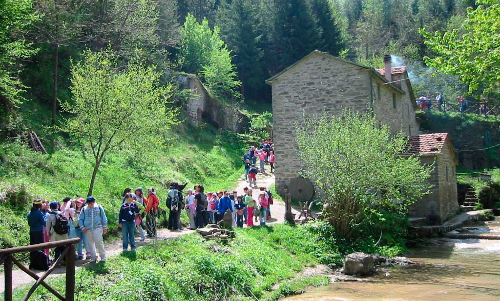 Domenica “Da Londa verso il Parco nazionale delle Foreste casentinesi, tra storia natura e paesaggio”