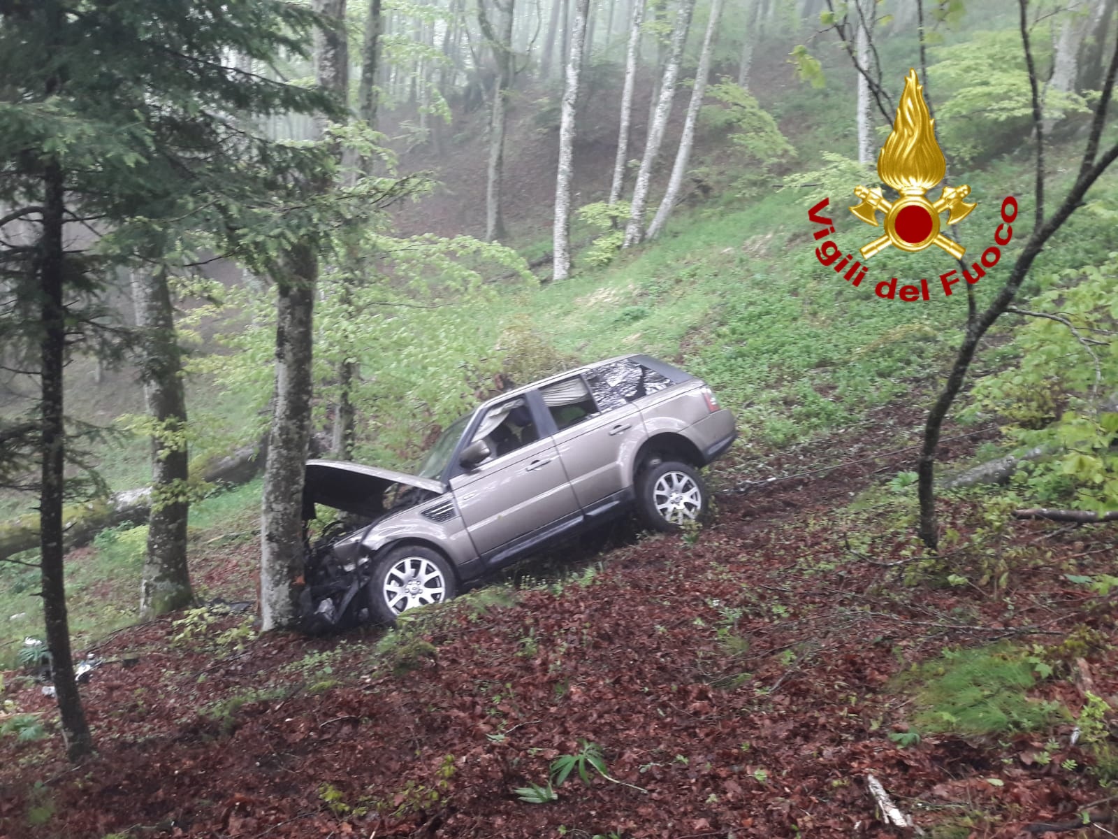 Auto esce di strada e sbatte contro albero