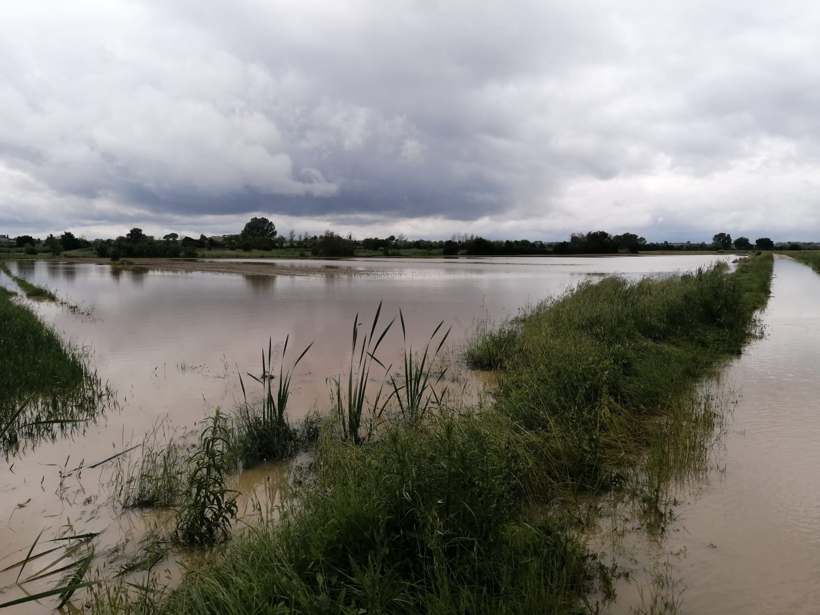 Maltempo allagamenti e frane, agricoltura sott’acqua – foto
