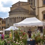 Fiori in Piazza Grande – Arezzo 17