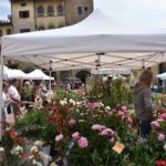 Fiori in Piazza Grande – Arezzo 19