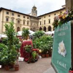 Fiori in Piazza Grande – Arezzo 30