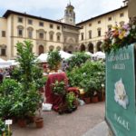 Fiori in Piazza Grande – Arezzo 31