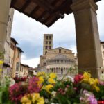 Fiori in Piazza Grande – Arezzo 32