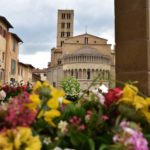 Fiori in Piazza Grande – Arezzo 33
