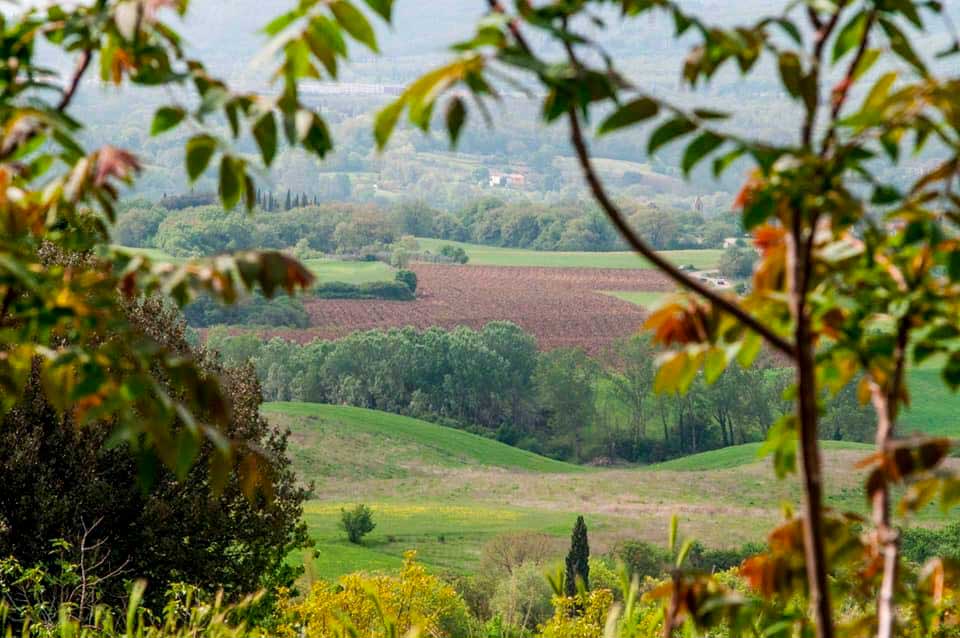Gli alberi e la bellezza della Valle delle Piagge