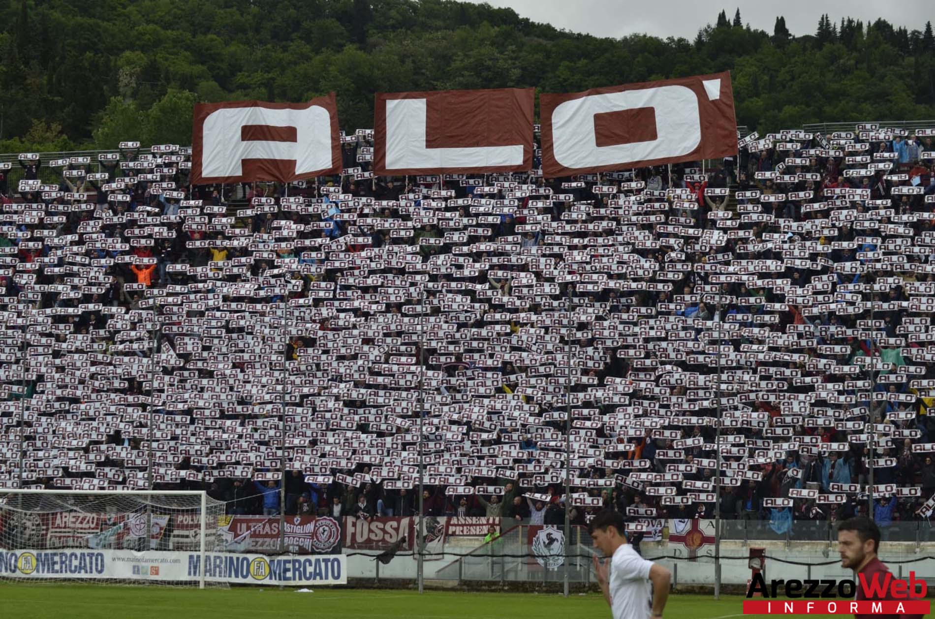 Arezzo-Viterbese 3-0 scopri tutte le emozioni della partita attraverso le nostre foto