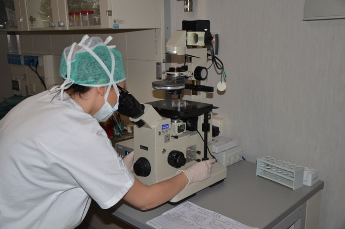 Diagnosi genetica preimpianto a carico del Sistema Sanitario 