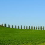 Coldiretti Arezzo