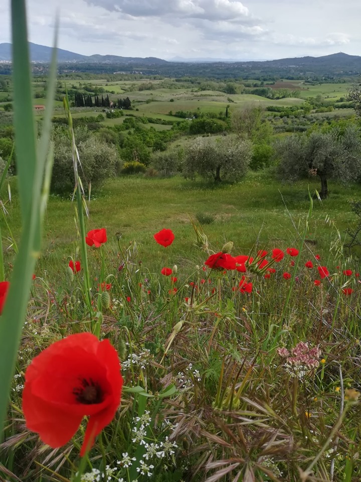 La Valle delle Piagge