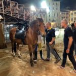 Giostra del Saracino Provaccia 103