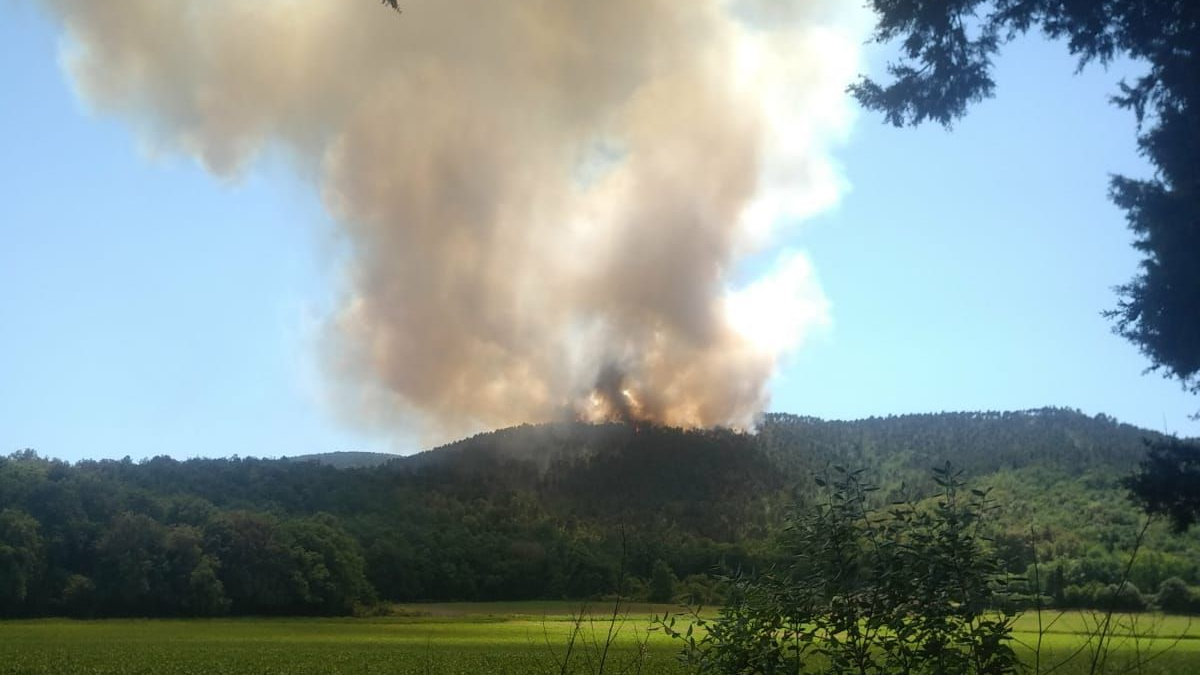 Brucia pineta nel senese: al lavoro i volontari antincendio aretini della Racchetta