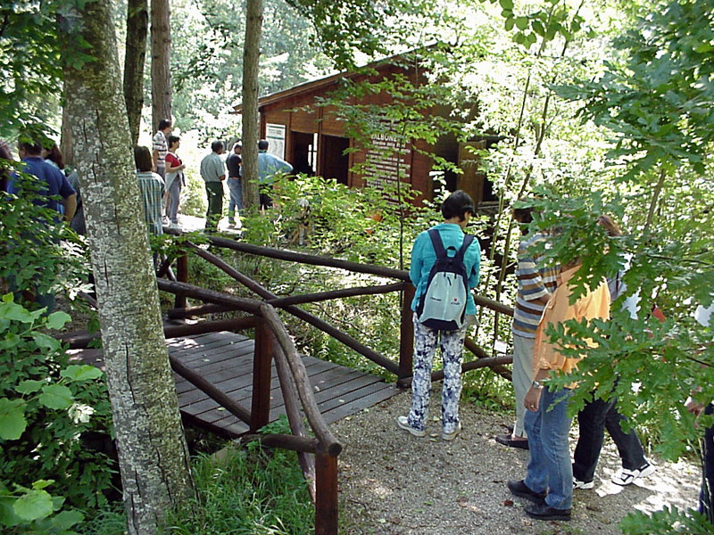 Due giornate di festa nel parco nazionale delle Foreste casentinesi per la chiusura dei progetti di educazione ambientale dell’area protetta