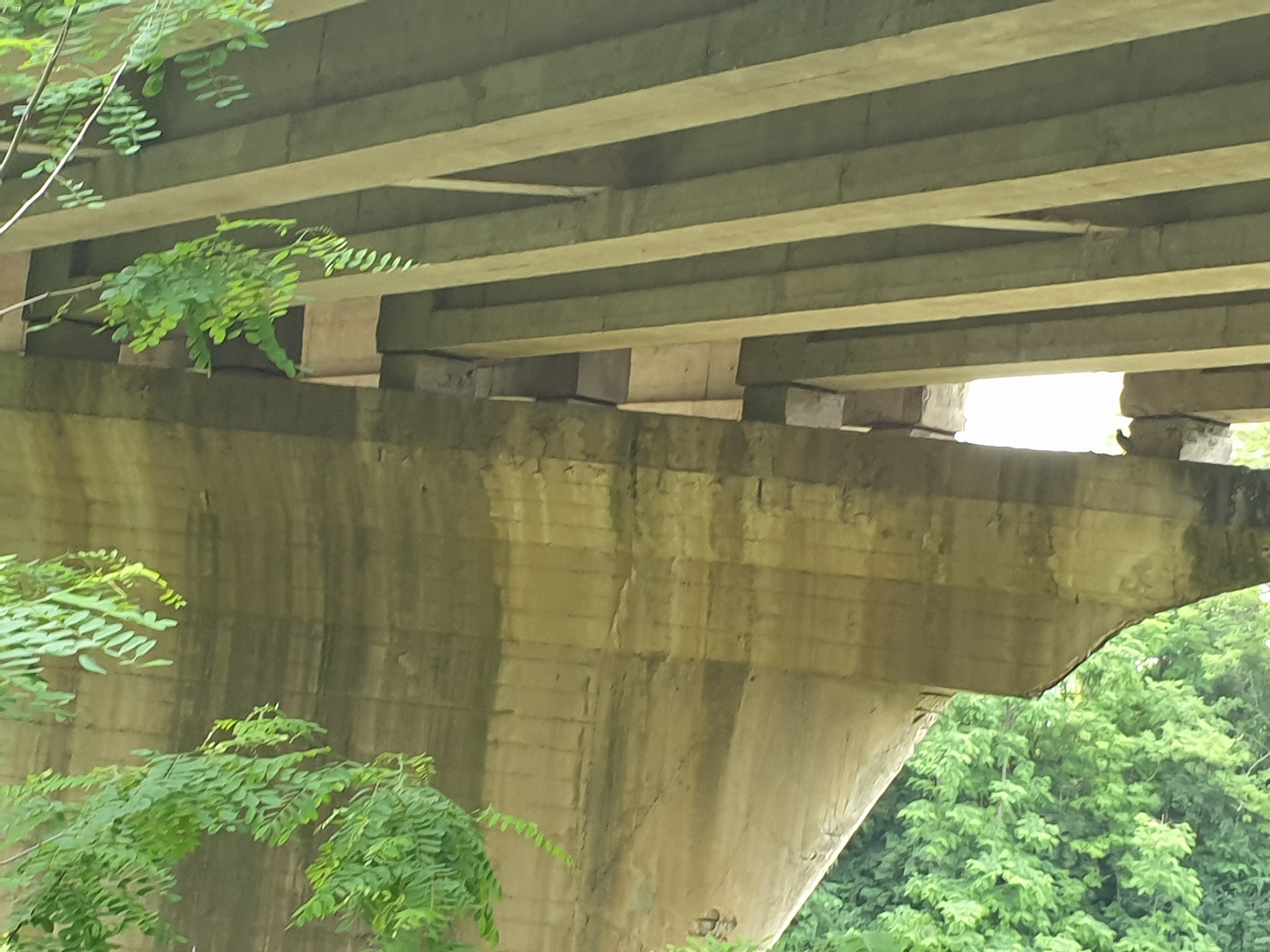 Per il perito il “Puleto” è un viadotto sicuro Per il perito il “Puleto” è un viadotto sicuro
