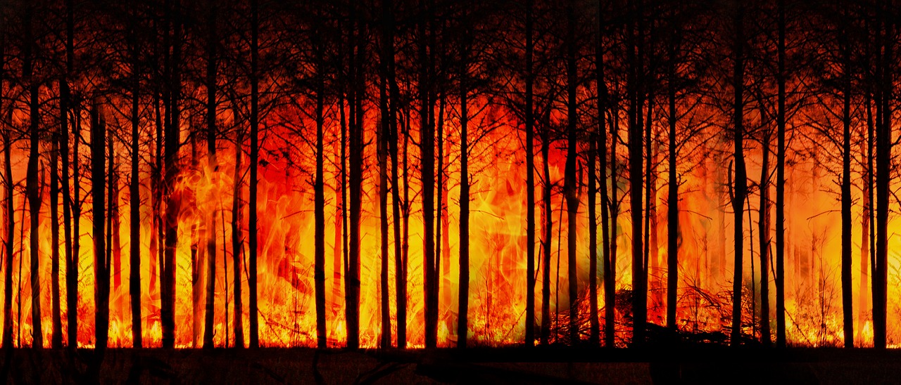 Rischio incendi: da gennaio già bruciati 1.400 ettari